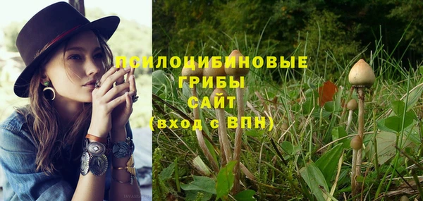прущие крисы Нефтекумск