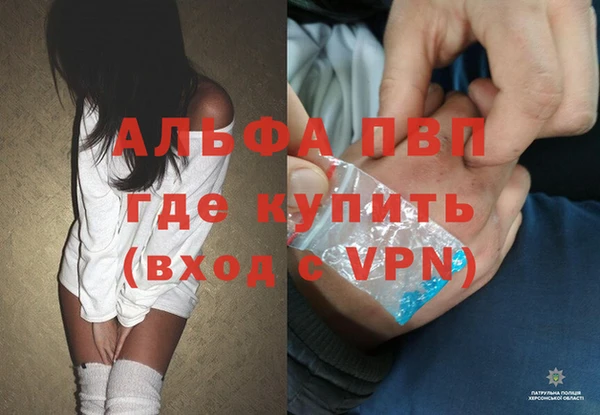 PSILOCYBIN Надым