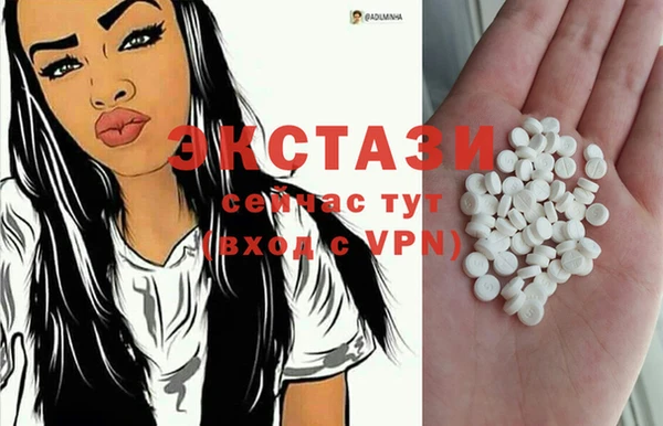 твердый Михайлов