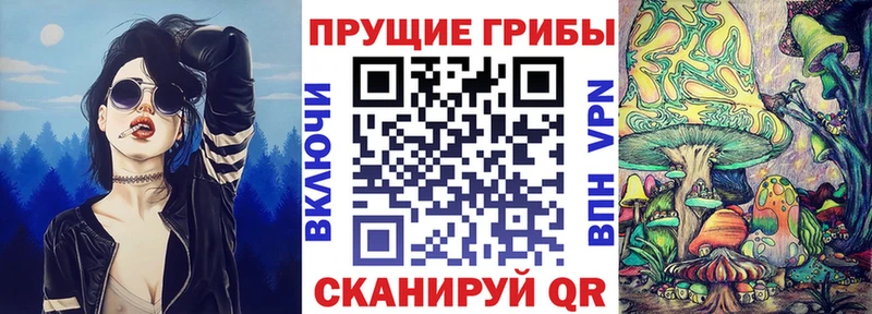 kraken рабочий сайт даркнет телеграм Галлюциногенные грибы мухоморы Поворино